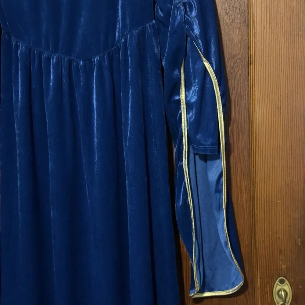 Girls Medieval Blue Velvet Dress Bell Sleeves Gold Trim Costume Renaissance Sz L